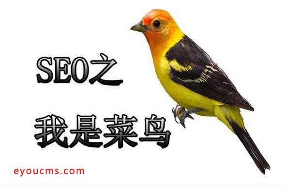 网站优化不同阶段的seo优化策略(图3) 网站优化不同阶段的seo优化策略(图3)